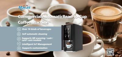 China Experience the Perfect Cup of Coffee with Our High-Performance Bean To Cup Coffee Vending Machine for sale