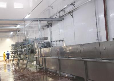 Cina Macchina elettrica per l'abbattimento di polli per le fattorie in vendita