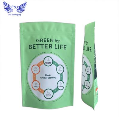 China Self-Seal Free Sample Green Multicolor Reusable Plastic Zipper Zipper Storage Holder Book Mylar Moisture Proof Bag for sale