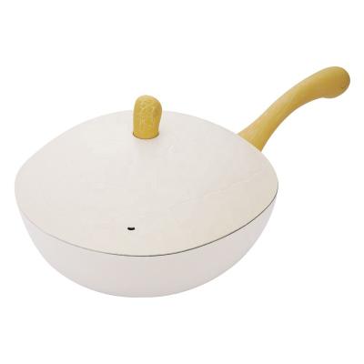 China Viable Turtle Series Cast Aluminum Potato Deep Fryer Bakelite With Soft Touch Bottom for sale