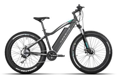 China Electric assisted fat bike Snow electric bike 26