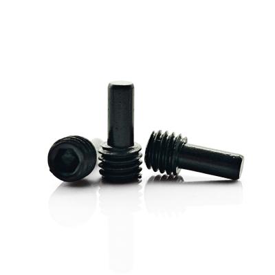 China Socket Drive Custom Black Zinc Special Dog Point Set Screw for Non-standard Applications for sale