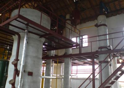 Cina Olio da tavola del nocciolo di palma della piccola scala che rende a linea della macchina automatico pieno in vendita