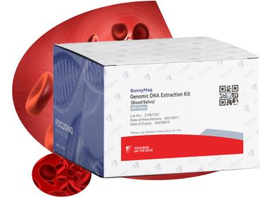China Jogo do isolamento do gDNA da saliva para a preparação do PCR, do qPCR e da biblioteca para arranjar em sequência de Next Generation à venda