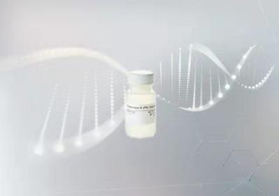 China Protease K na extração de DNA/RNA à venda
