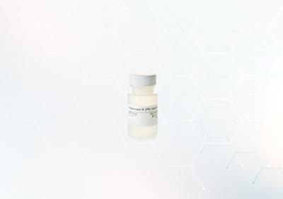China Solução da protease K de BunnyTeeth para o PCR à venda