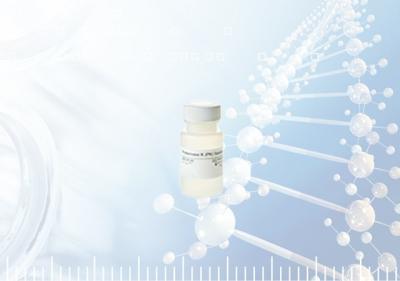 China Protocolo da protease K de BunnyTeeth para o PCR de DNA/RNA à venda