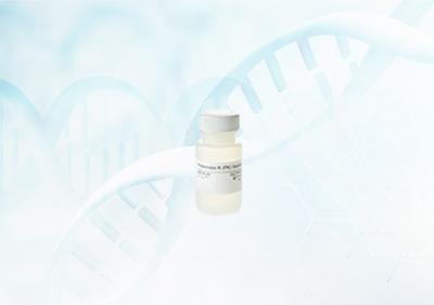 China Protease K Fermentas para a preparação à venda