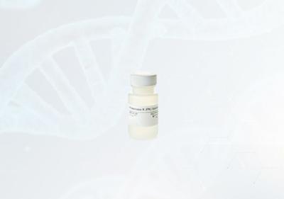 China Solução enzimático alta da protease K da atividade para jogos da extração de RNA/DNA à venda