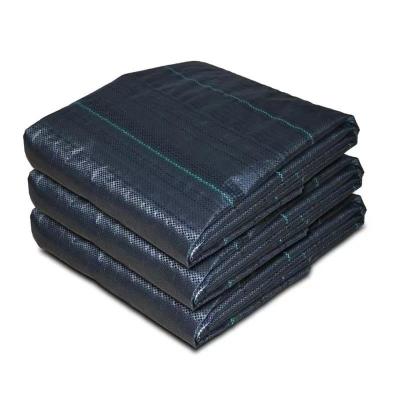 China Protecting PP Woven Membrane PE Ground Cover Mesh Weed Mat Roll Anti Grass Weed Mulch Film for sale