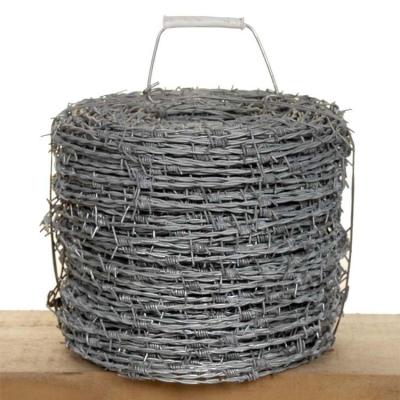 China Government Buildings And Pasture Border Low Price Security Galvanized Barbed Wire 16*16 Gauge 50Kg Per Roll Farm Fence Protection Barbed Wire for sale