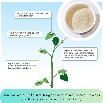 Chine Le magnésium de calcium d'acide aminé de mangue zinguent les fruits végétaux d'engrais de poudre de bore à vendre