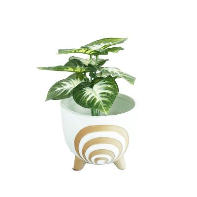 China Durable Nordic modern design spiricle pattern Large Succulent Planter white Flower Plant Pot Indoor decor Ceramic Flower Pot for sale