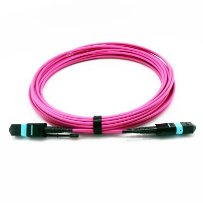 China Manufacturer Supplier Customization Logo Data Center OM4 24F MTP to MTP Trunk Cable Fiber Optic Patch Cord for sale