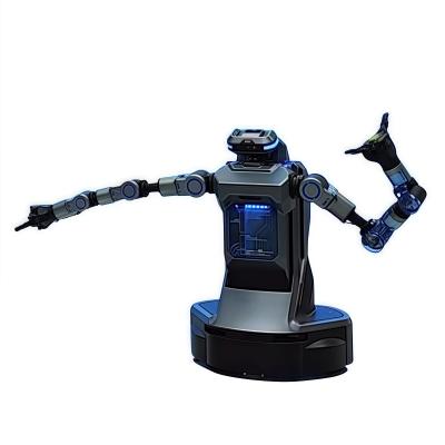 China Ultraflexible Sekundärentwicklung Dienstleistungsindustrie Künstliche Intelligenz Roboter verkörperte KI Humanoid Roboter zu verkaufen