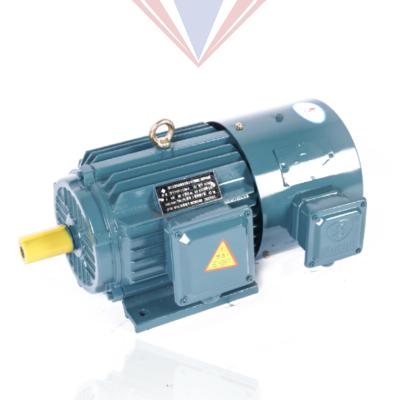 China 4/6 Aluminum Pole Adjustable Speed Waterproof Electric Three Phase Asynchronous Induction Motor Shell Yvp Series Variable Frequency for sale