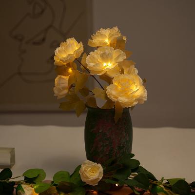 China Star table lights LED battery lights Christmas party wedding Holiday decoration garland light indoor home for sale