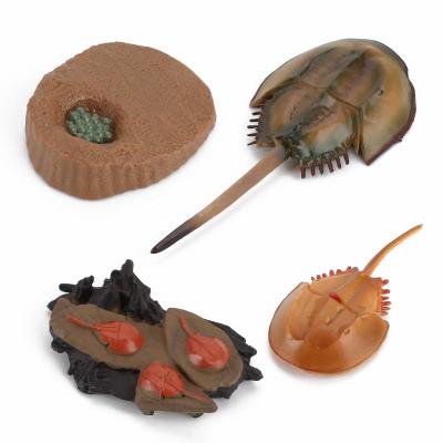 China 4 PCS Sea Marine Animal Figures Ocean Creatures Action Models Life Cycle Horseshoe Crab Figure for sale