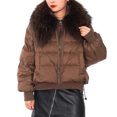 China Breathable fashion winter new arrival short women's duck down coat With Raccoon Dog Fur Collar for sale