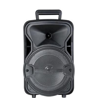 China No Sound Professional 8 Inch BT Speakers Audio System Professional Popular Music Sound System for sale