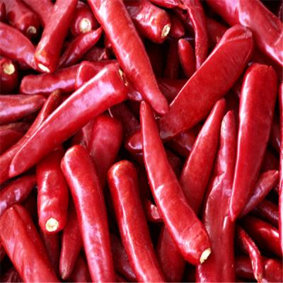 Cina 8000-12000shu pepe Erjingtiao caldo con deposito a secco in vendita