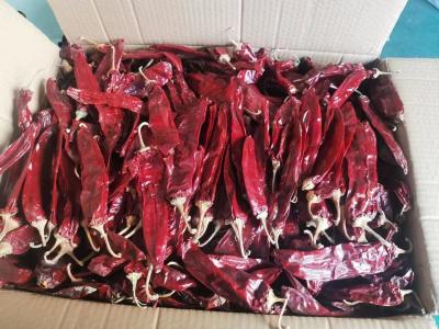 China Add Some Heat to Your Dishes with Dried Chilli Pods 500SHU 20-25cm for sale