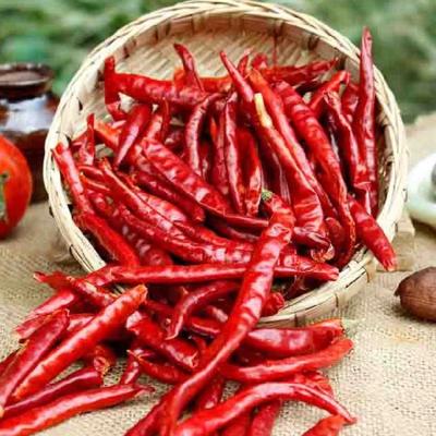 Chine Des épices de piment rouge et de la poudre d' assaisonnement pour votre bonne expérience culinaire à vendre