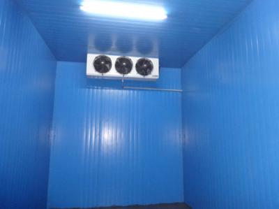 China EN 14509 double skin metal faced insulating sandwich panels for cold rooms for sale
