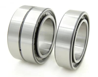 China Long Life High Speed Double Row Full Roller Cylindrical Roller Bearing SL185011 SL185012 SL185013 SL185014 SL185015 SL185016 SL185017 SL185018 for sale