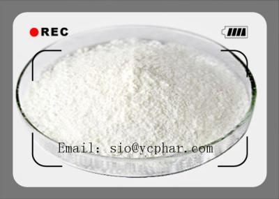 China White Healthy Muscle Building Test Cypionate CAS: 58-20-8 Increase Muscle Growing Efficient and Safe Delivery for sale