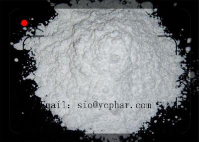 China White Healthy Muscle Building Test Enanthate CAS: 315-37-7 Increase Muscle Growing Efficient and Safe Delivery for sale