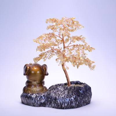 China Feng Shui Quartz Money Tree Healing Gemstone Druzy Crystal Money Tree Druzy Hog Wholesale Natural Crystal for sale