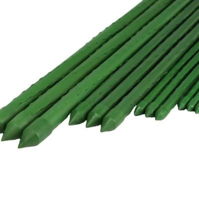 China Promote Plant Growth China Manufacturer Greenhouse Plastic Coated Metal Garden Stakes Pipe Stake for sale