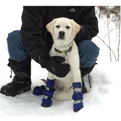 China Sustainable High Quality 4Pcs/Set Dog Winter Warm Rain Waterproof Long Boots Protective Pet Sports Snow Shoes for sale