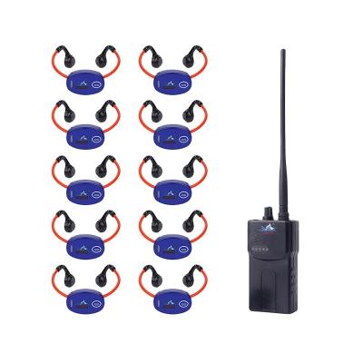 China 2022 Bone Conductivity Earphone Bone Conduction Waterproof Swimming Earphone for Swimming Live Training System for sale