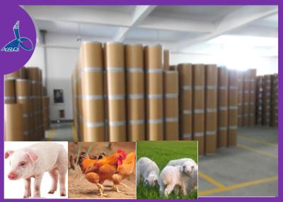 China 73231-34-2 a medicina veterinária droga o pó de Florfenicol da pureza de 99% nos suínos à venda