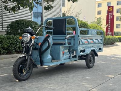 China Feng shen150-2 1000WD Ladung Dreirad Nennlast 200kg zu verkaufen
