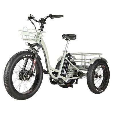 Chine Trike électrique à trois roues à moteur à moyeu avant pour des déplacements durables et respectueux de l'environnement à vendre
