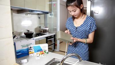 China El esterilizador multifuncional del agua del ozono trabajo auto e inmediato de la concentración de 1 PPM quita el molde del residuo de pesticida en venta