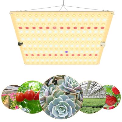 China Dimmable Full Spectrum 600w Knob Dimming Led Grow Light For Seed Planting Flower High Efficiency Indoor Plant Led Grow Light 60W Samsung 281b for sale
