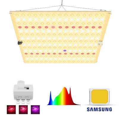 China Button dimming gavita hydroponics foldable viparspectra led light UV IR to grow lights 600w with ballast for sale
