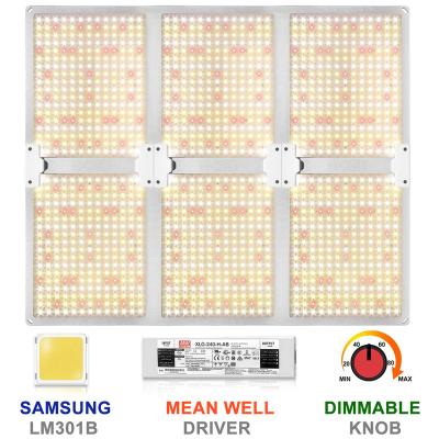 China Starting From Seed Led To Grow Low Bar 120w/240w/480w/640w Samsung LM 301H 281B LM301H LM301B Lightweight Waterproof IP65 Hydroponics for sale