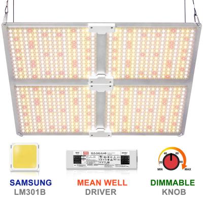 China Seed Starting Led To Grow Light Full Spectrum 120w/240w/480w/640w Indoor Plants Growing 3000K/5000K/660nm/400/730nm Waterproof IP65 Lm281B+ for sale