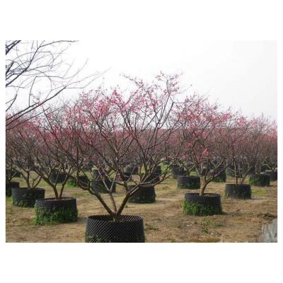 China Wholesale Price Air Pruning root Pot Big plant pot for sale