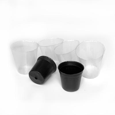 China Wholesale plastic soft flower seeding pot plant mango nursery for sale