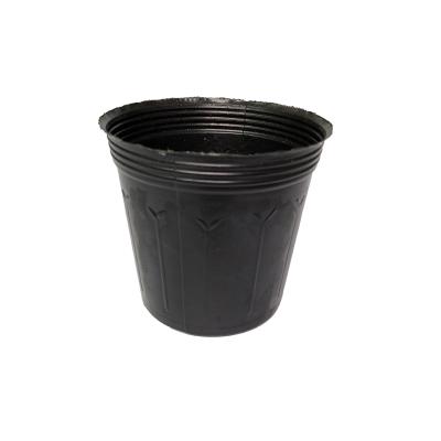 China High quality plastic nursery pot black seedling tray for sale