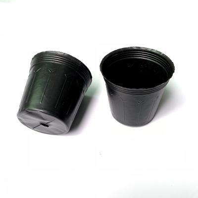 China PE black nursery pot blow pots flower pot for sale