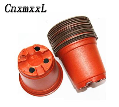 Chine good quality plastic PP hot pepper/Chilly flower pot in low price à vendre