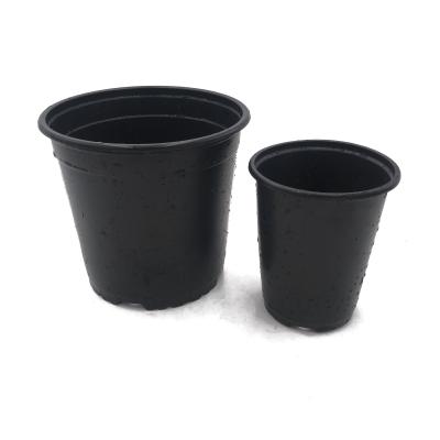 China Light and soft black/double-color flower pot chive shoot seedling nutrition pot for sale