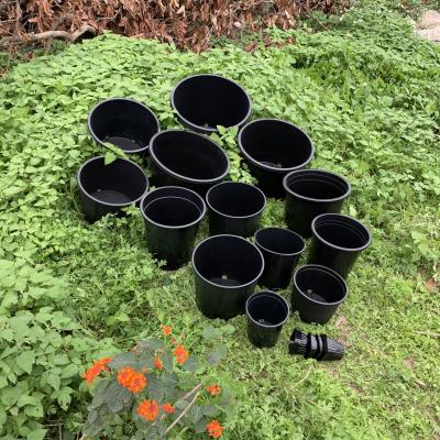 China Durable Hard plastic 3 gallon pot black flower plant pots big nursery pots of PP/HDPE for sale